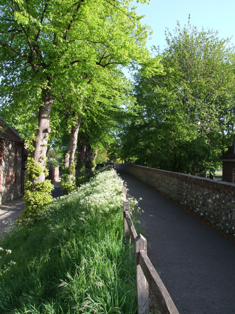 Chichester Walls Walk